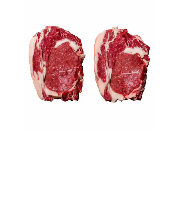 Bife